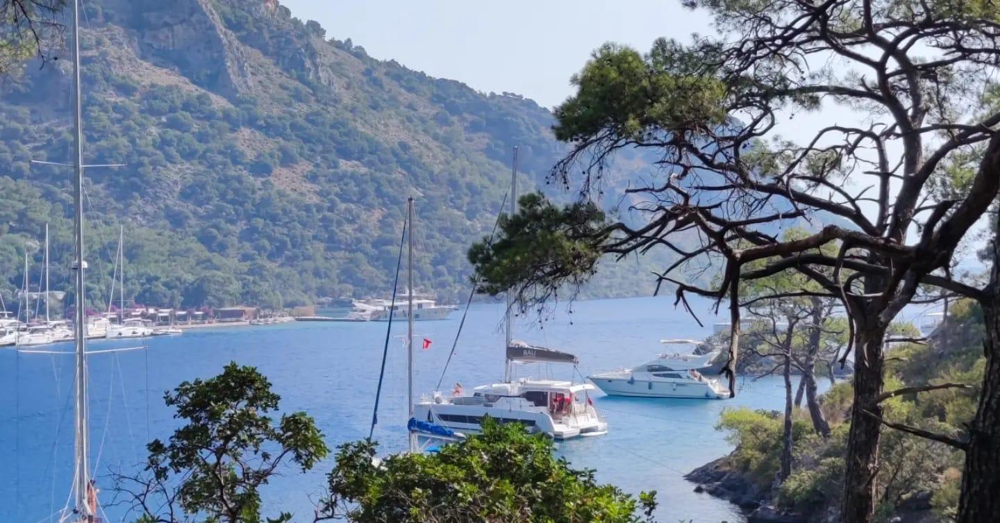 Swimming in a secluded cove